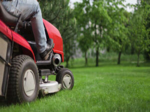 Growth in the Lawncare Services Franchise Market